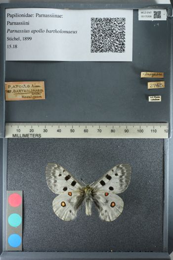 Media type: image;   Entomology 175308